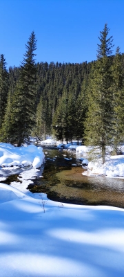 IMG 20220315 WA0000